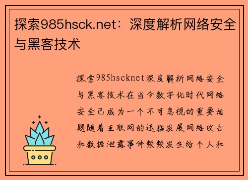 探索985hsck.net：深度解析网络安全与黑客技术